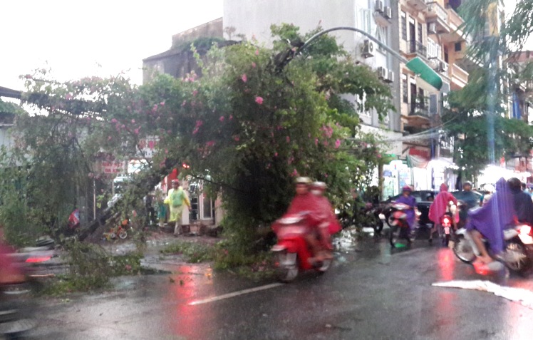 hanoi storm aftermath - life in hanoi